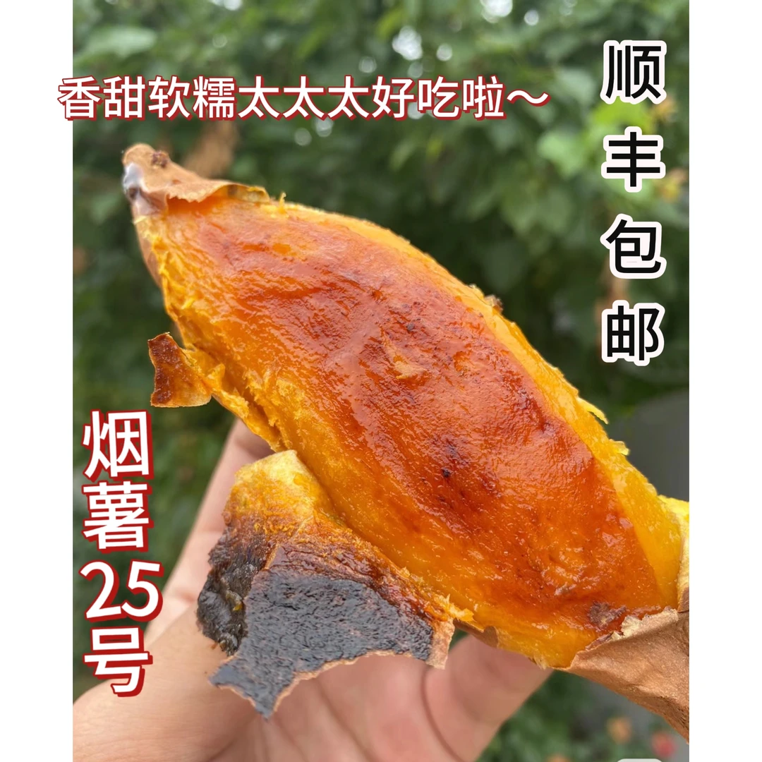 烟薯25号地瓜红薯