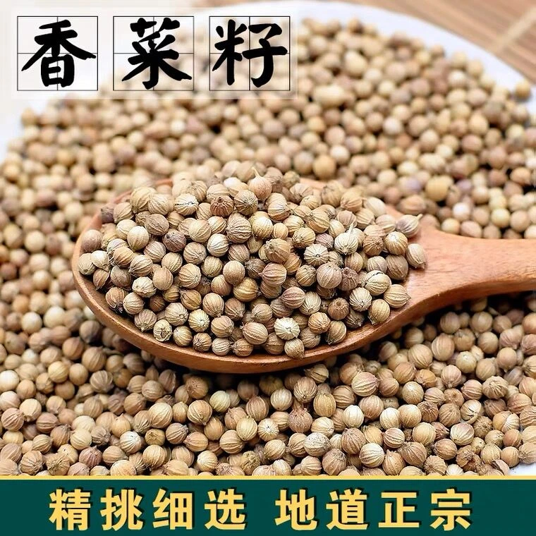 大叶香菜籽芫荽子松须菜籽胡荽芫茜孑食用粉香料西式调料另售八角