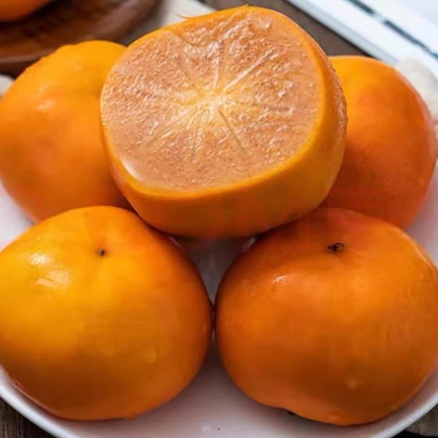 【坏果包赔】陕西阳丰巧克力脆柿新鲜现摘应季孕妇水果脆甜5斤包邮