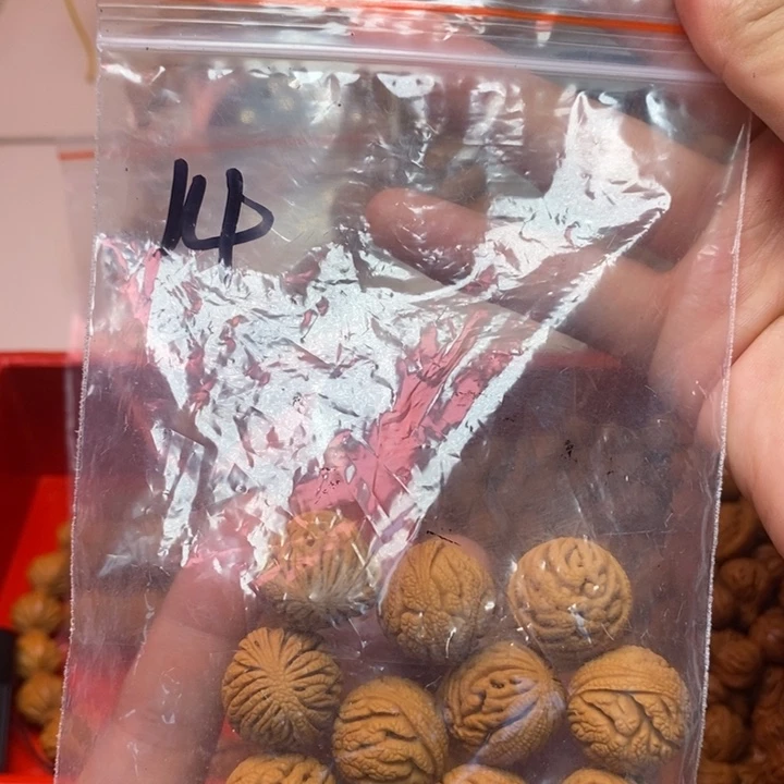 桃核手串、****首秦岭龙纹33333333