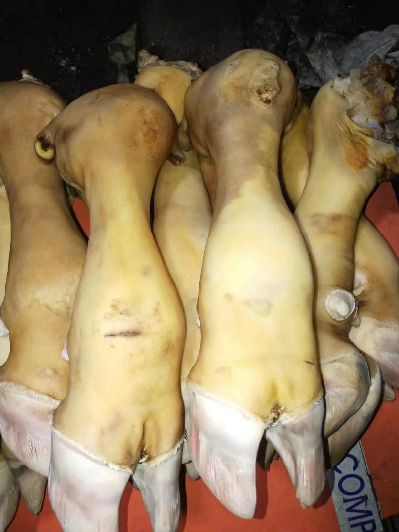 【牛蹄子】带骨生牛蹄每个4公斤-5公斤送货上门