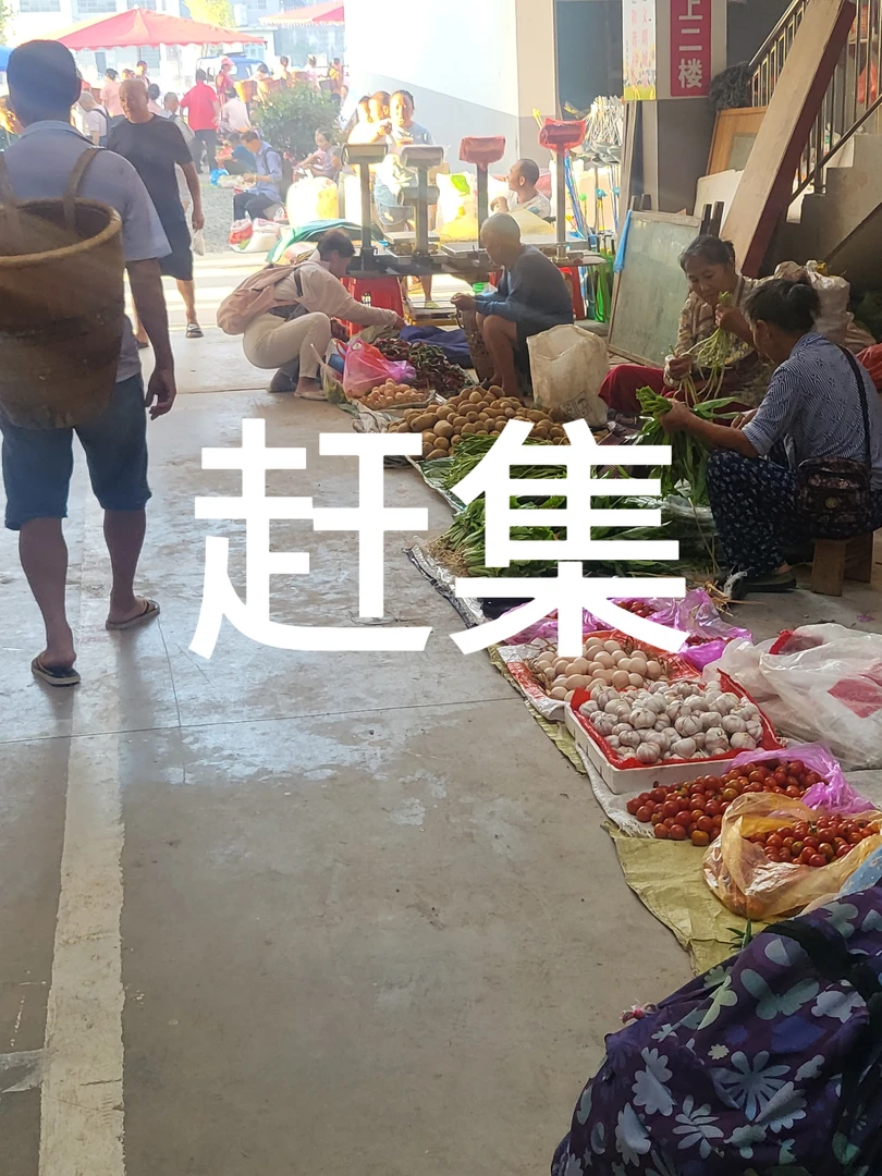 湘西农家高山糯玉米