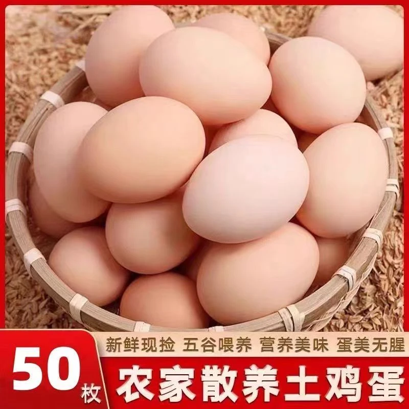 【50枚土鸡蛋】农家散养土鸡蛋 笨鸡蛋 现捡现发 坏了包赔