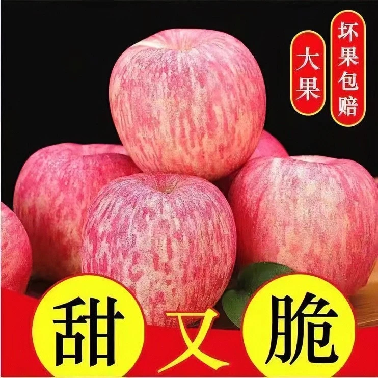 【拍5斤送5斤】烟台栖霞红富士苹果脆甜多汁新鲜果发到手带箱10斤