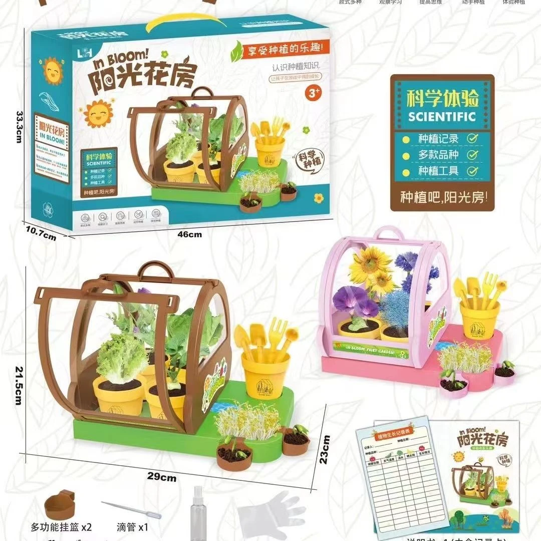 阳光房种植观赏儿童小学生科学实验套装植物生长观察女孩种菜玩具