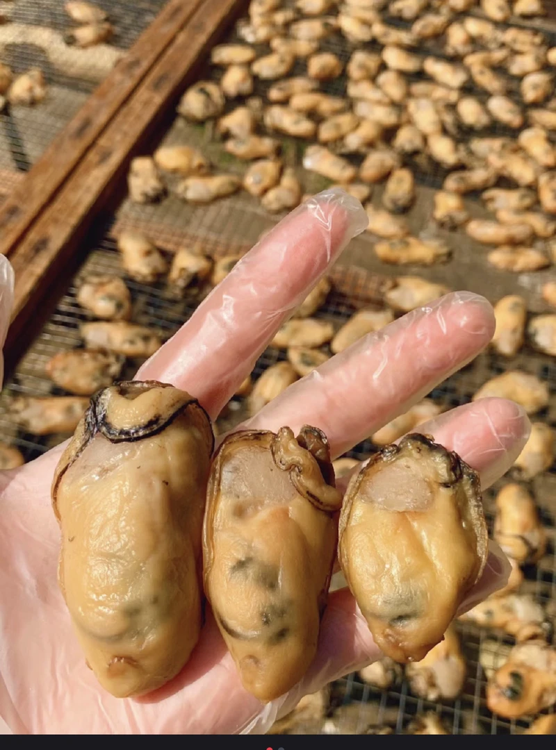 阳江特产90头蚝豉干海产干货500/1000克营养原味深海劲道炖煮好吃