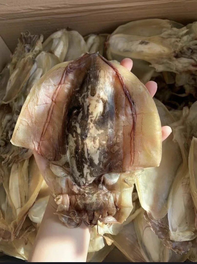 墨鱼干，船晒墨鱼无盐淡晒500克，乌贼干海产干货广东阳江