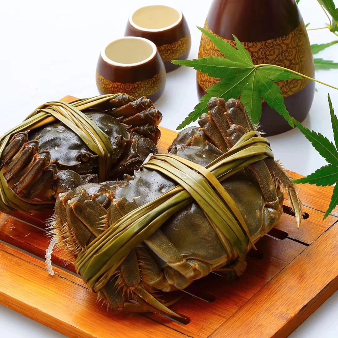 江苏河蟹  1.8两母蟹 净重1.2两-1.8两一只