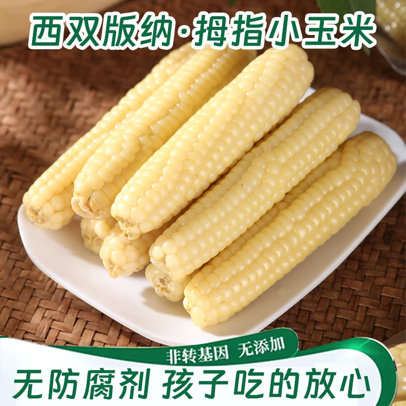 西双版纳拇指小玉米非转基因低脂1斤4斤新鲜辅食早餐玉米真空包装