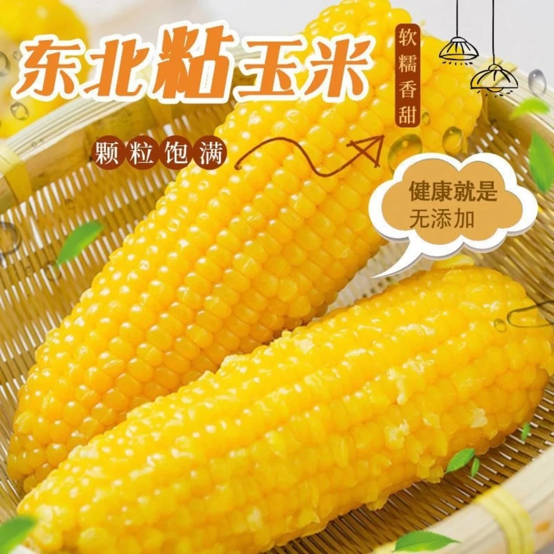 黄糯玉米黑土地寒地糯玉米软糯香甜8+2整箱五斤半非转基因零添加.