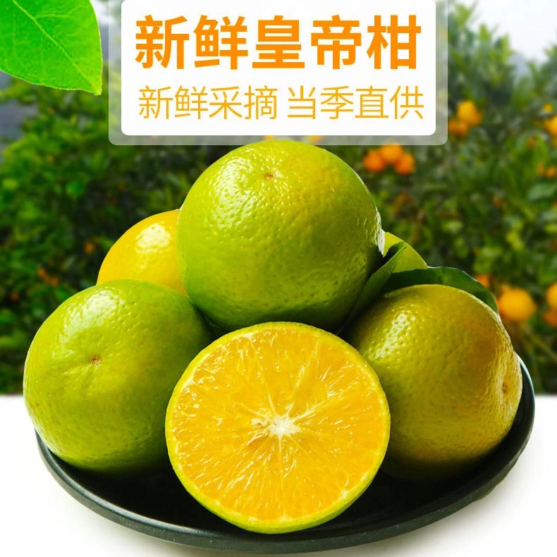 【大果★纯甜】广西水果皇帝柑蜜桔橘子砂糖桔沃柑新鲜现摘2斤5斤9斤