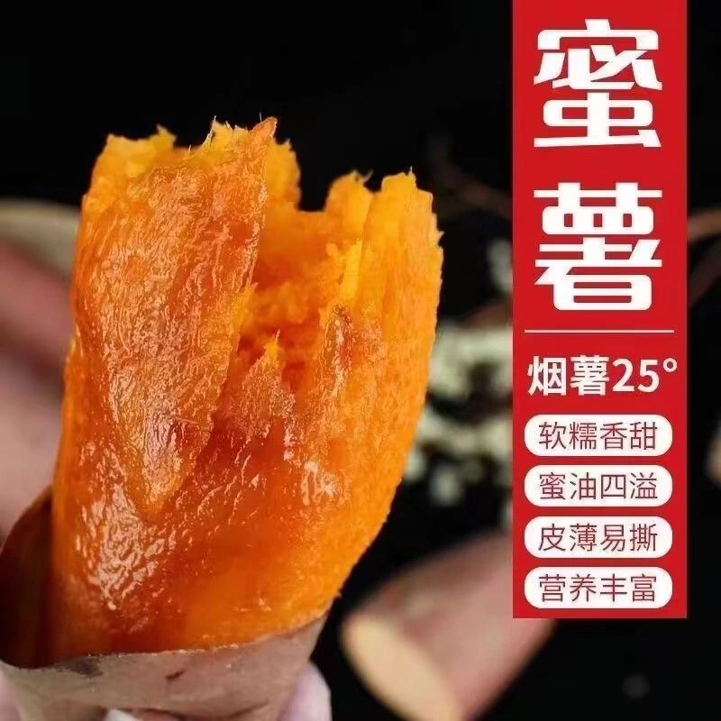 正宗烟薯25烤薯红心红蜜薯糖心新鲜番薯3斤5斤9斤香甜皮薄蜜甜