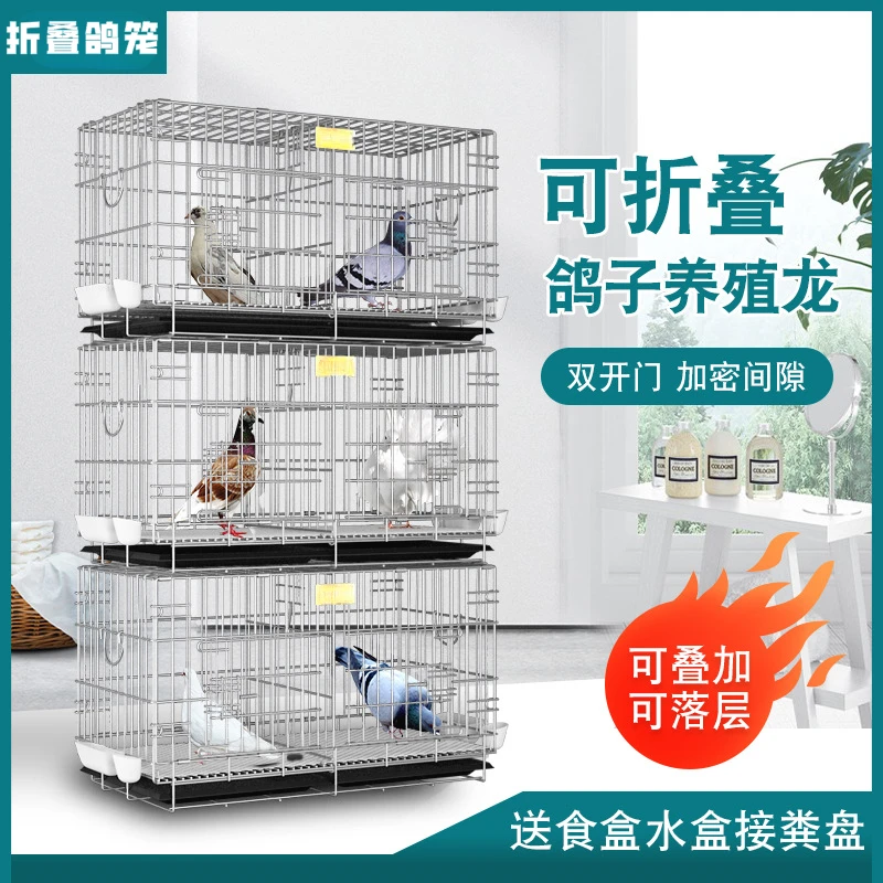 鸽子笼养殖配对笼折叠繁殖鸽笼家用手工清洁多功能方便可拆卸展示