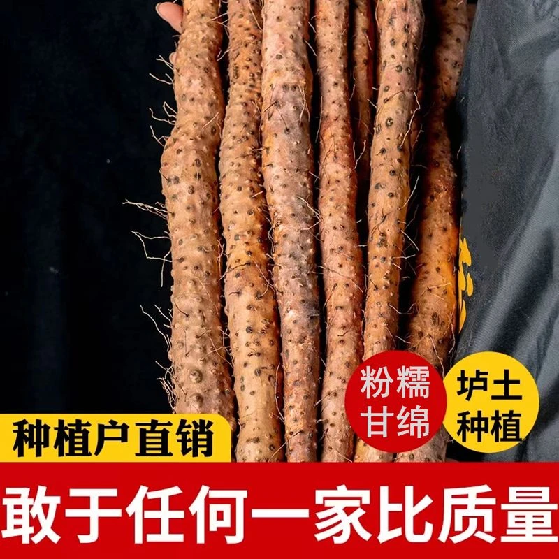 2024垆土铁棍怀山药温县正宗河南焦作批发基地直销新鲜营养软糯香