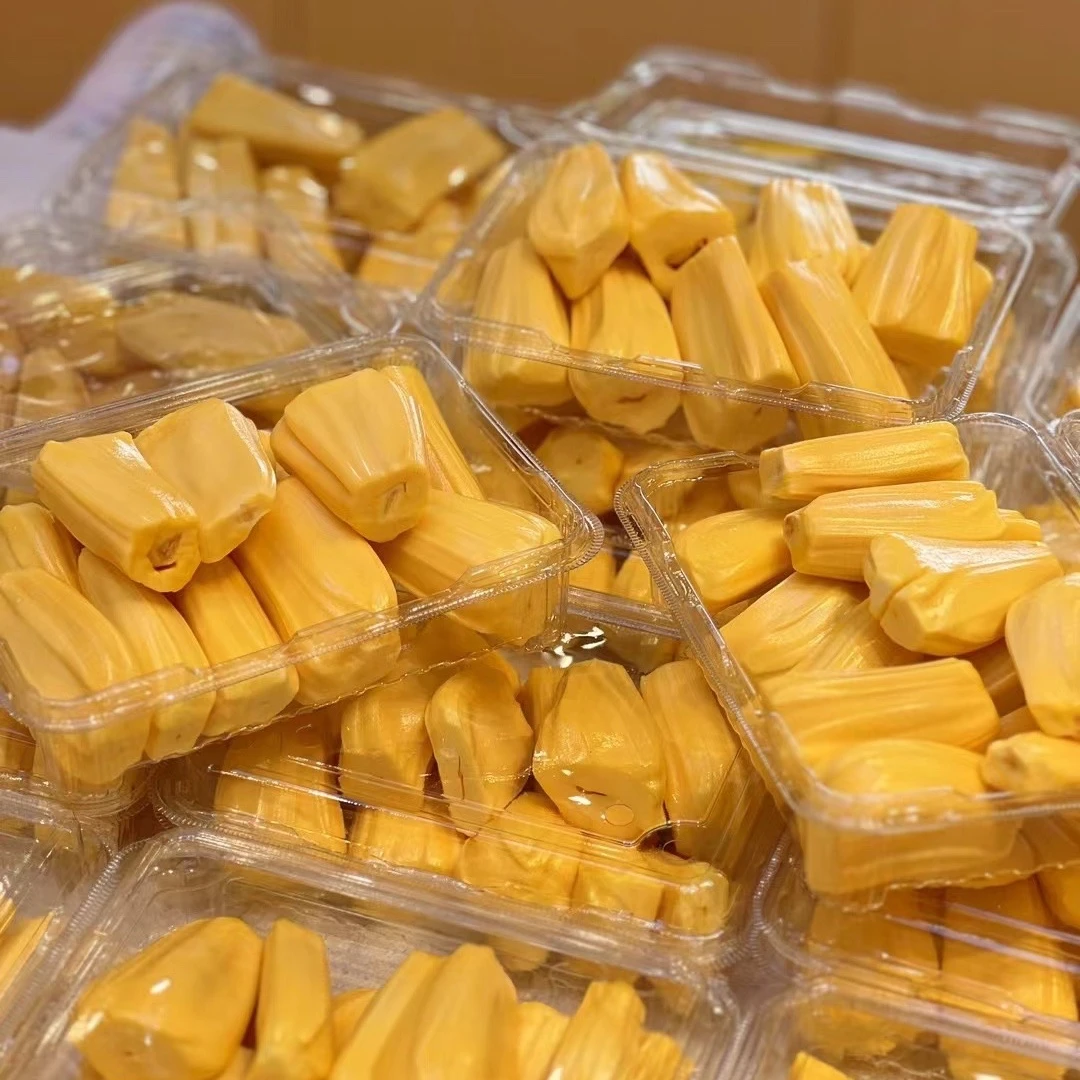 果切黄肉菠萝蜜 9.9/份