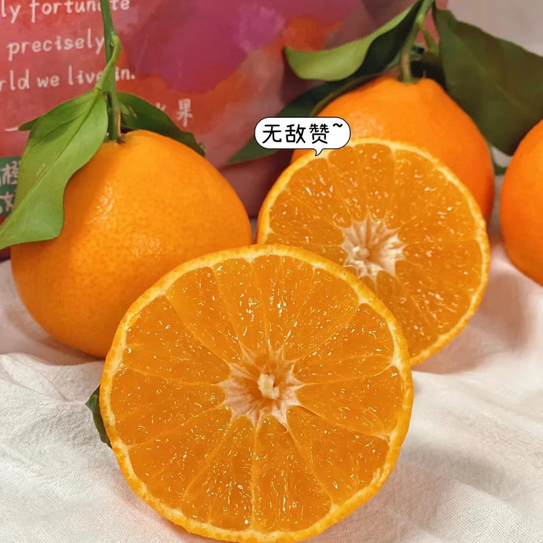 红美人 25/斤