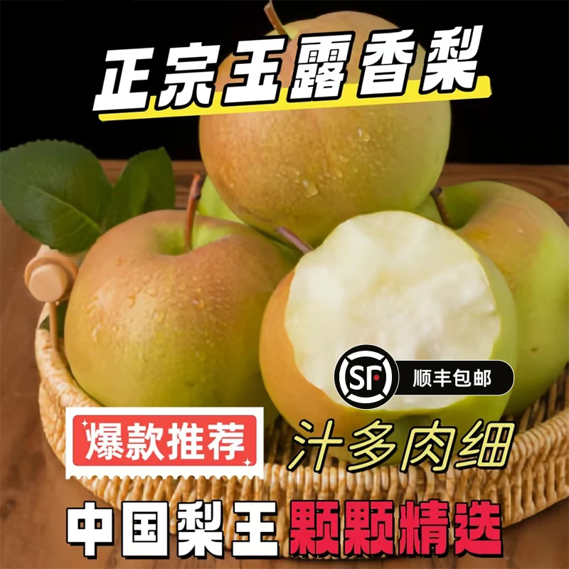 山西玉露香梨香甜多汁皮薄果核小产地发货口感细腻新鲜甘甜