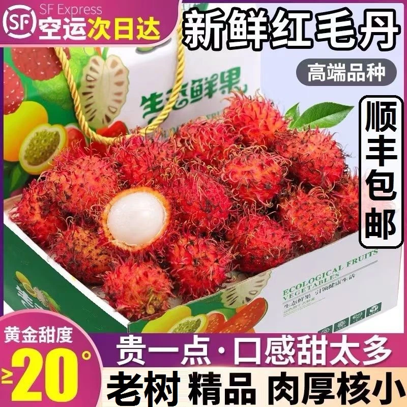 【顺丰到家】新鲜海南保亭七号红毛丹5斤热带孕妇水果3斤毛荔枝1斤