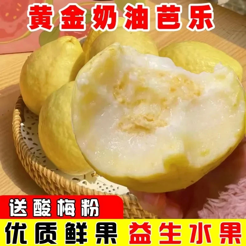 【优质鲜果】软心黄金奶油芭乐番石榴水果当季软糯香甜土芭乐3/5斤