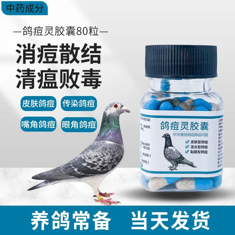 鸽痘灵鸽子胶囊鸽子鸟类嘴痘脚痘鸽痘鸟用品大全