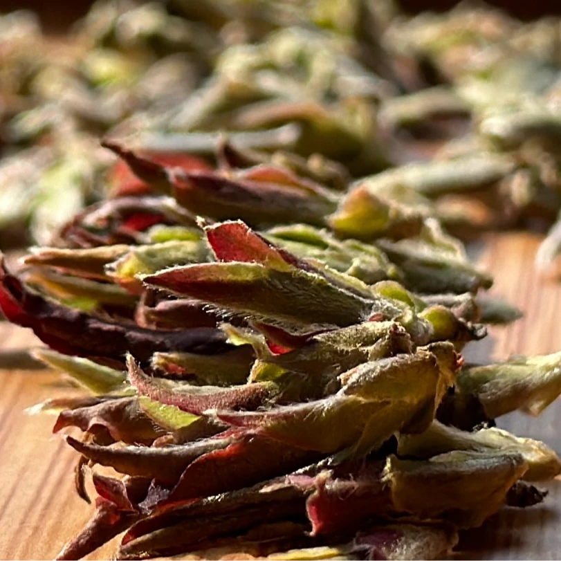 2025年大雪山野生紫芽苞