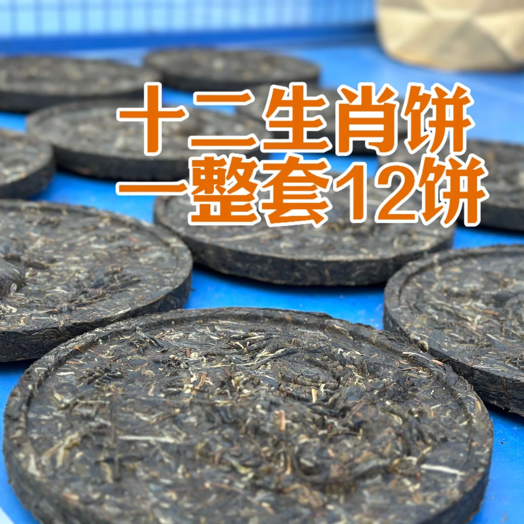 24年十二生肖普洱茶饼