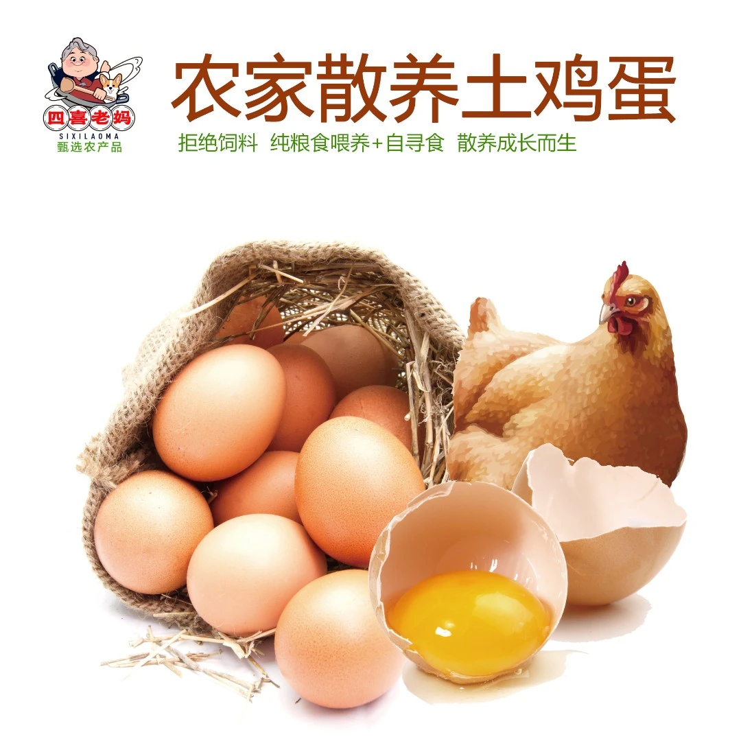 四喜老妈 农户散养土鸡蛋 营养丰富健康好吃 独立包装放心购买