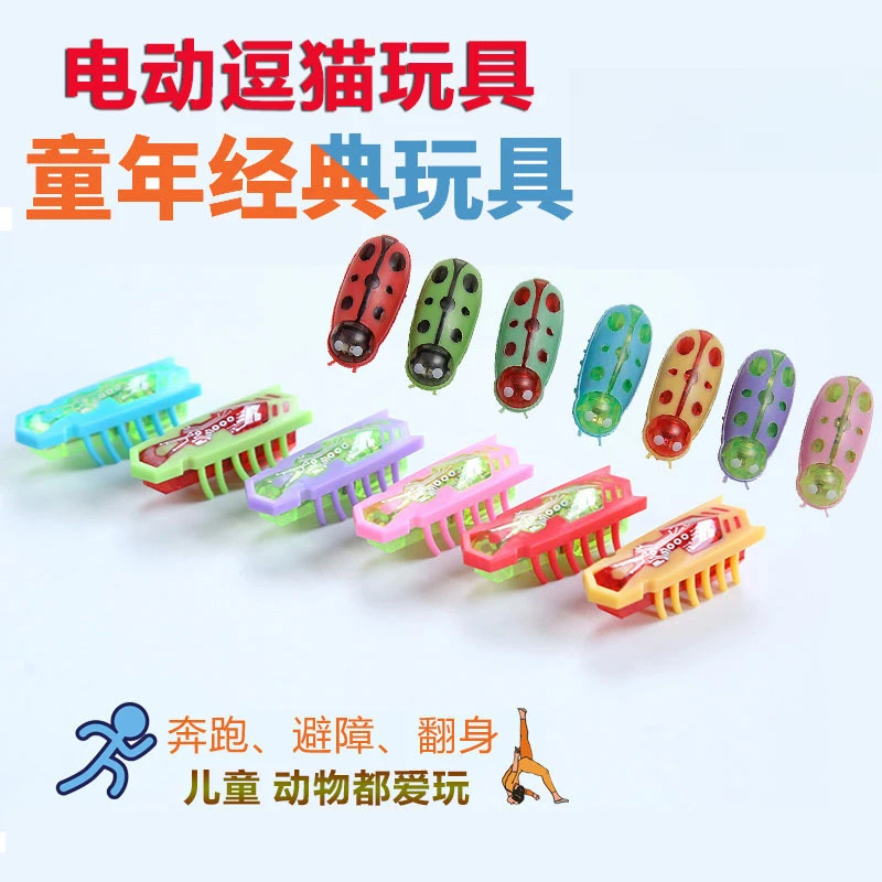 猫玩具电动小老鼠瓢虫逗猫耐抓耐咬橡胶牙刷虫电动猫玩具现货