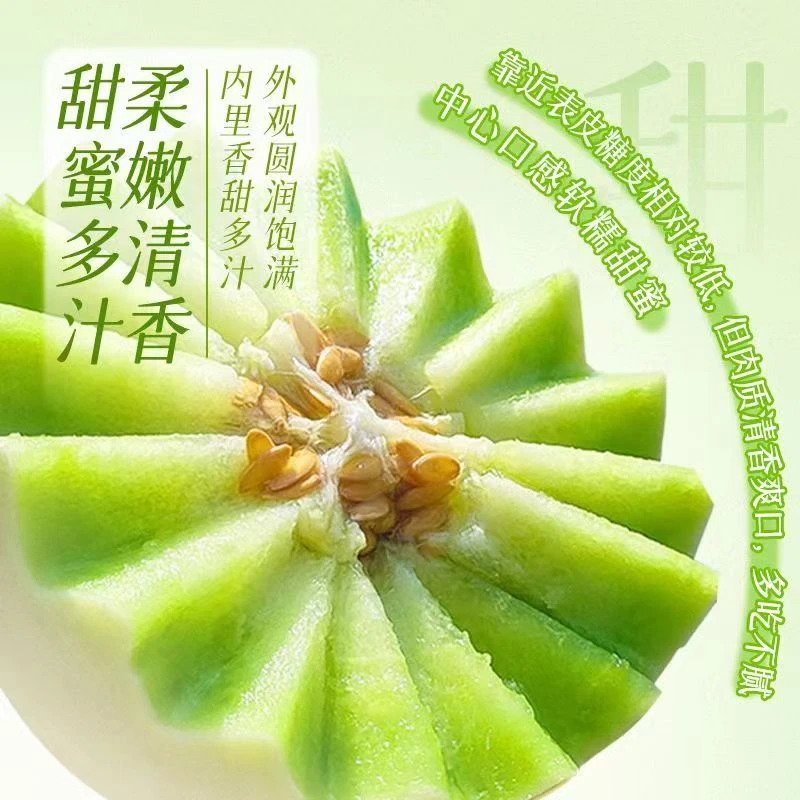 海南冰淇淋玉菇甜瓜4.5-5斤2-3个新鲜水果蜜瓜 产地直发