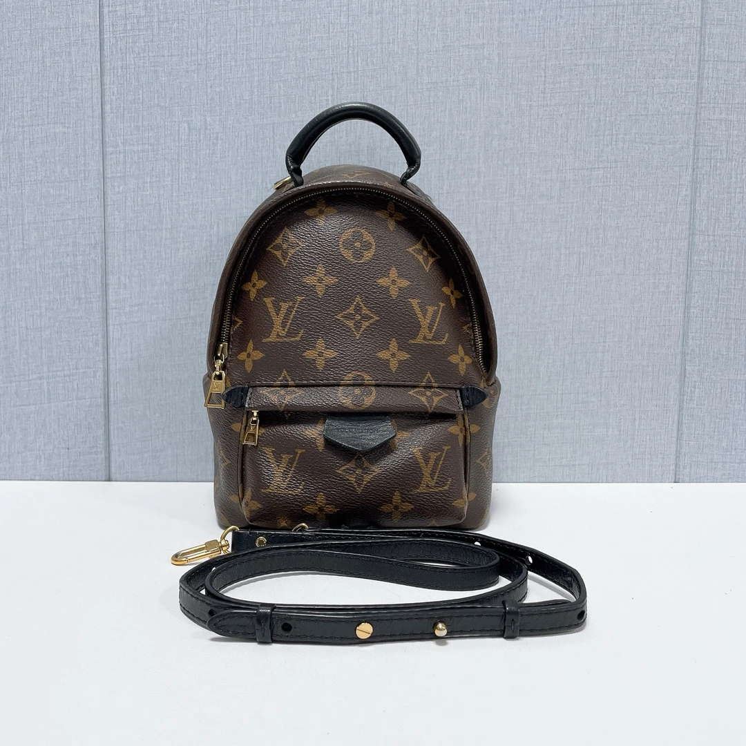 99新 LOUIS VUITTON PARIS   经典老花双肩包