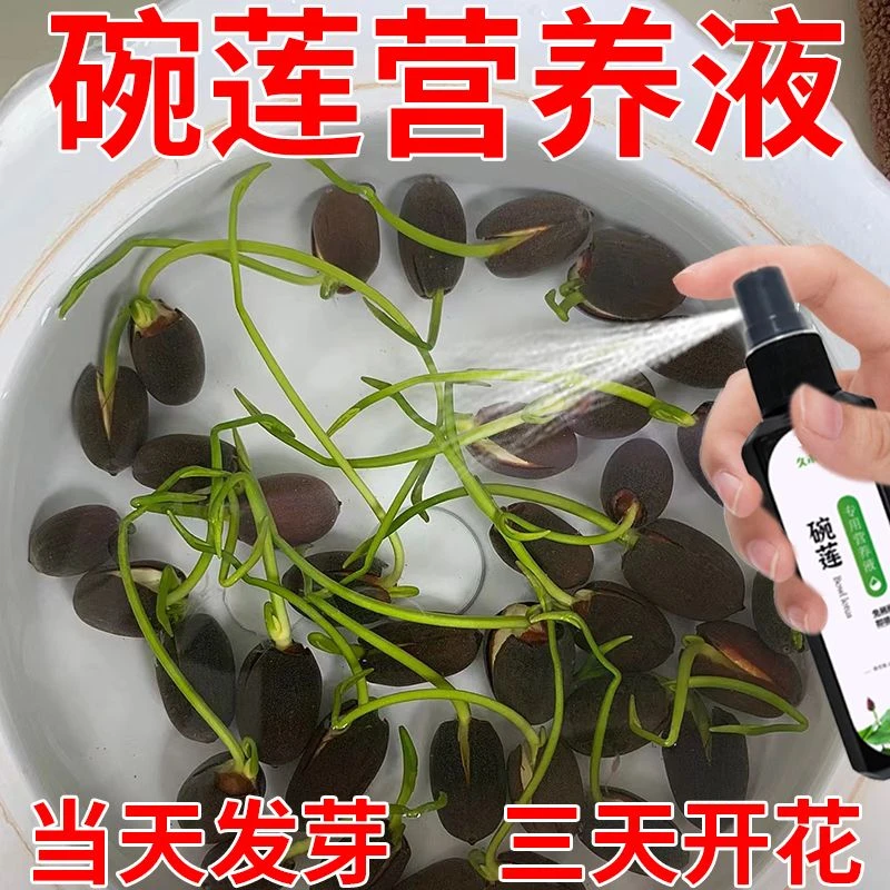 碗莲营养液专用水溶肥水培土培睡莲通用肥料治生长慢不发芽不开花
