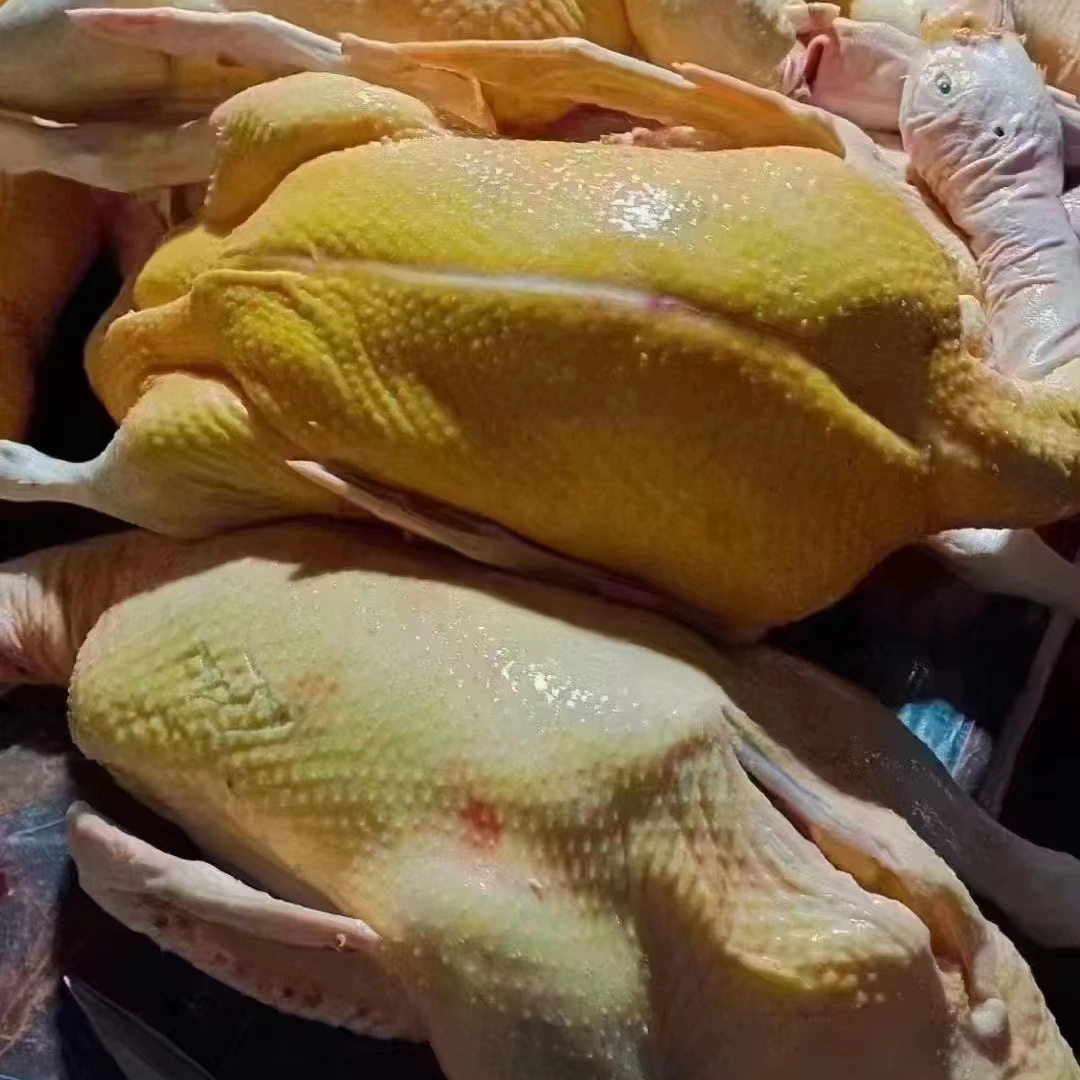【哈特火】冰淇淋奶油大飞鸭