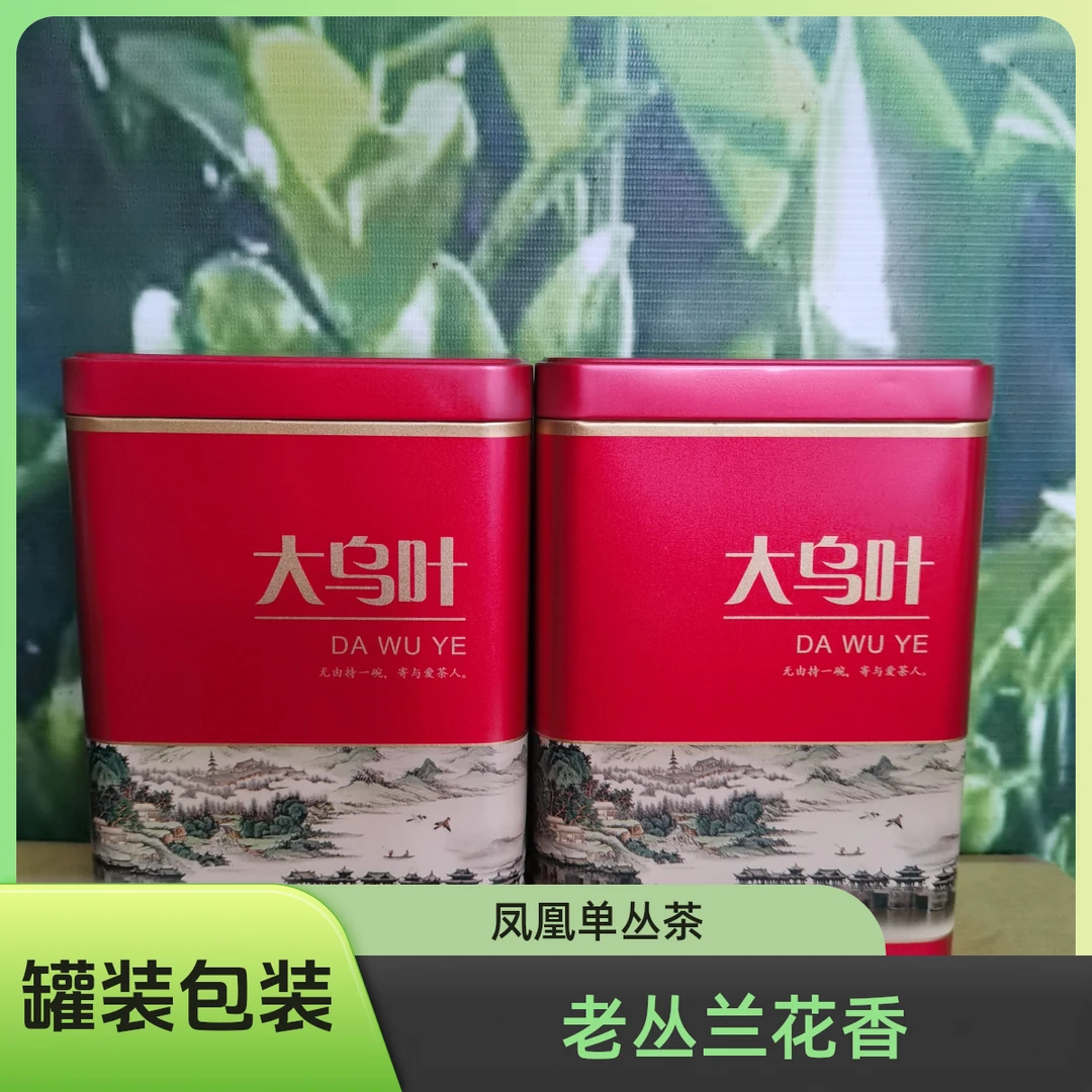凤凰单丛茶/老丛兰花香大乌叶/一斤装罐装