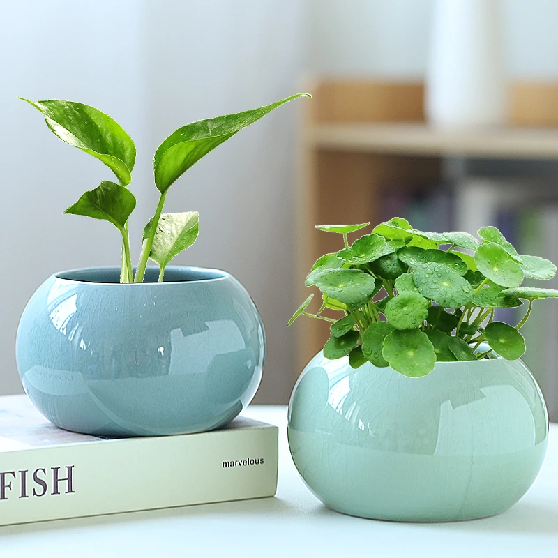 铜钱草水养绿萝花瓶水培器皿植物容器客厅办公桌面装饰品家居摆件