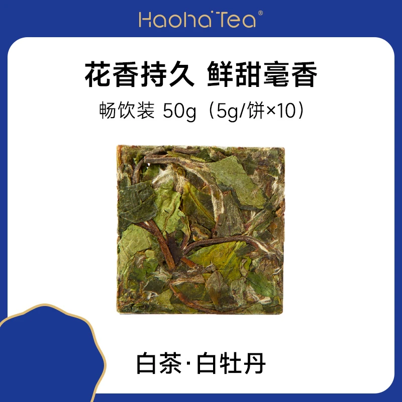 【Haoha‘Tea】白牡丹白茶 5g*10包紧压方形小饼 50g畅饮