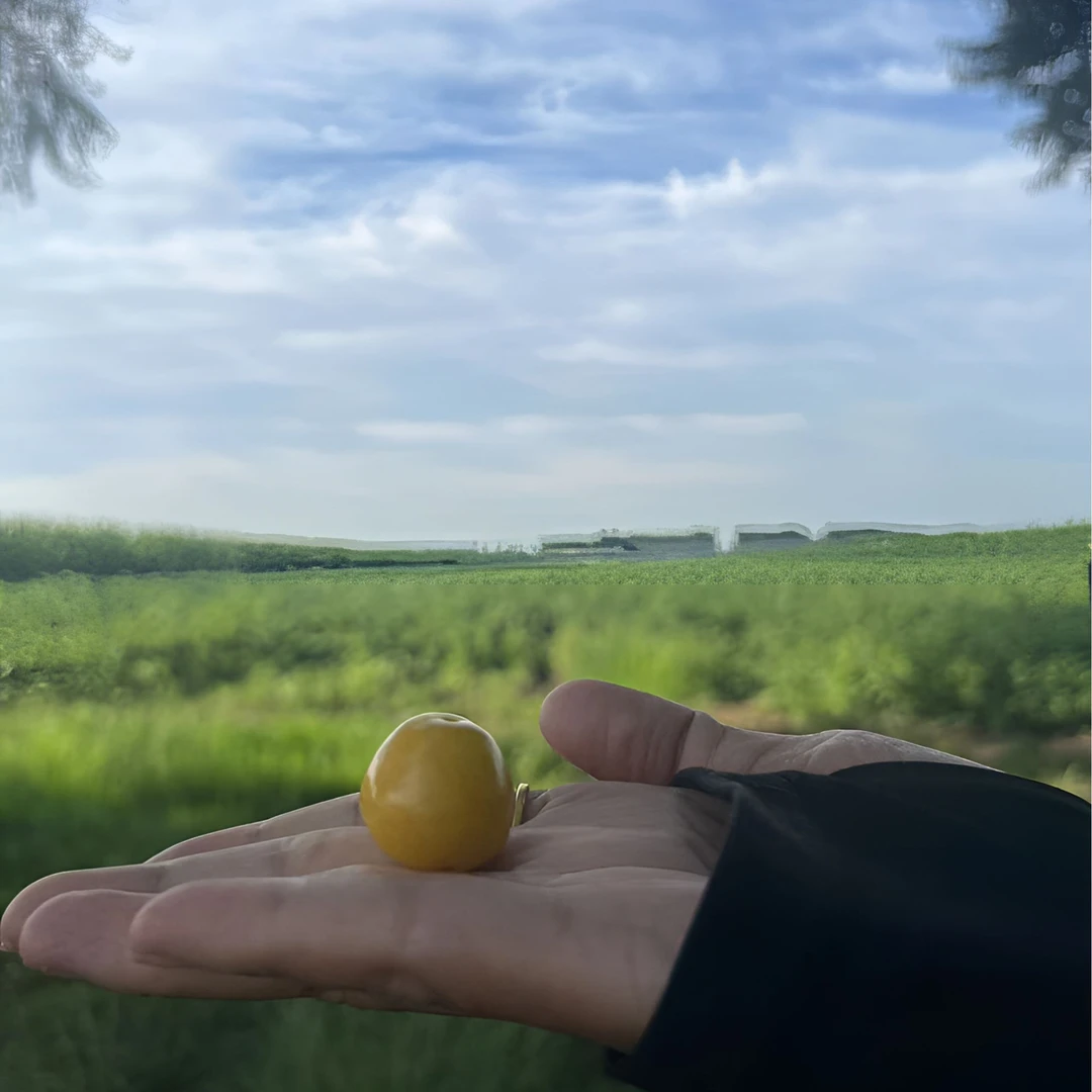 东北绿皮菇娘果 皮薄多汁姑娘果姑娘果包赔原产新鲜香甜发货产地