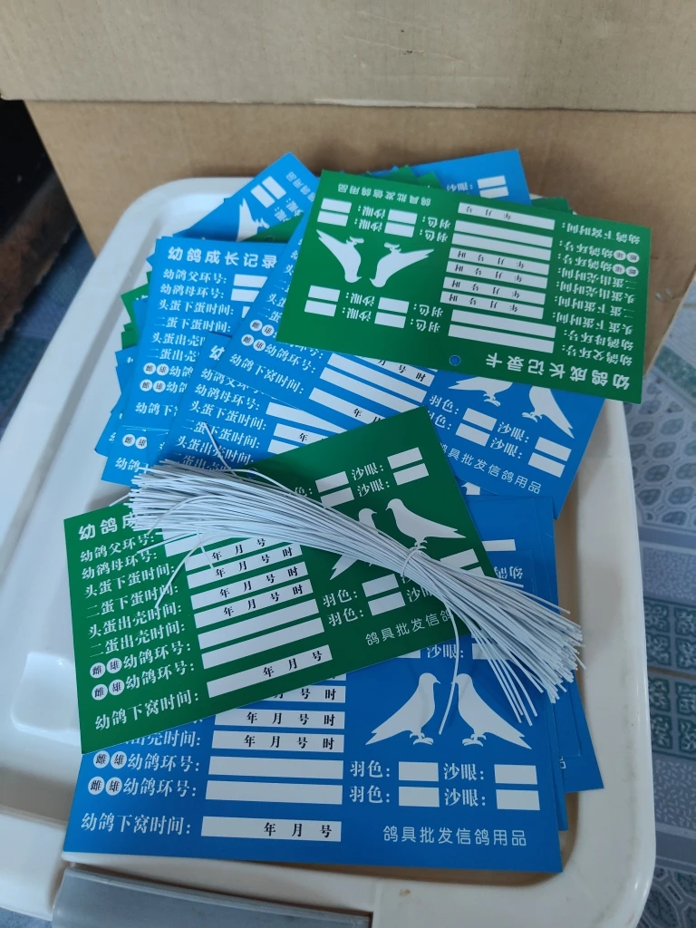 幼鸽成长 记录卡