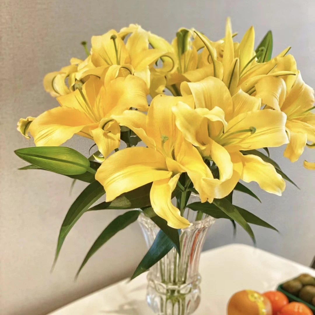 丰哥《皇帝》香水单瓣百合鲜切花,顺丰空运发货
