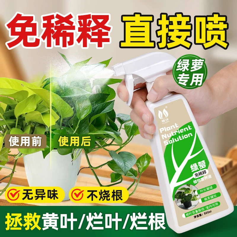 绿萝肥料营养液专用免稀释花卉水培植物通用型室内盆栽花卉治黄叶