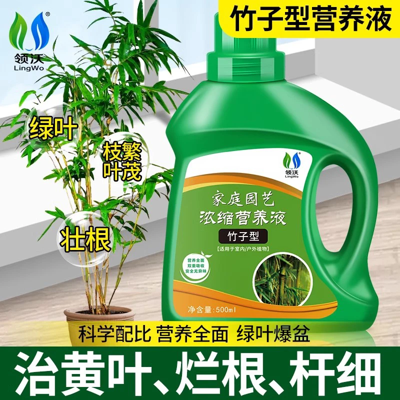 营养液专用水培肥料叶子发黄烂根盆栽富贵竹发财树植物通用液体肥