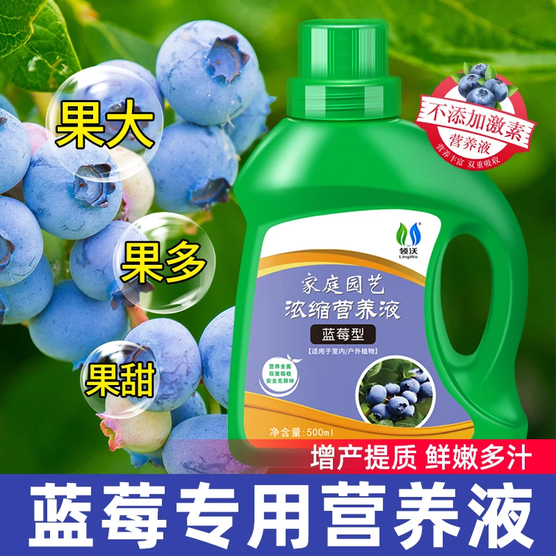 蓝莓肥料专用肥营养液家用果树盆栽蔬果膨果水溶肥植物通用型养花