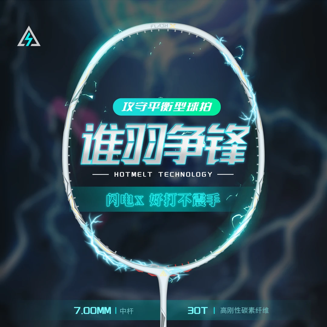 LEIBIAO雷飚/闪电系列/闪电X攻守平衡快速回弹专业全碳素羽毛球拍