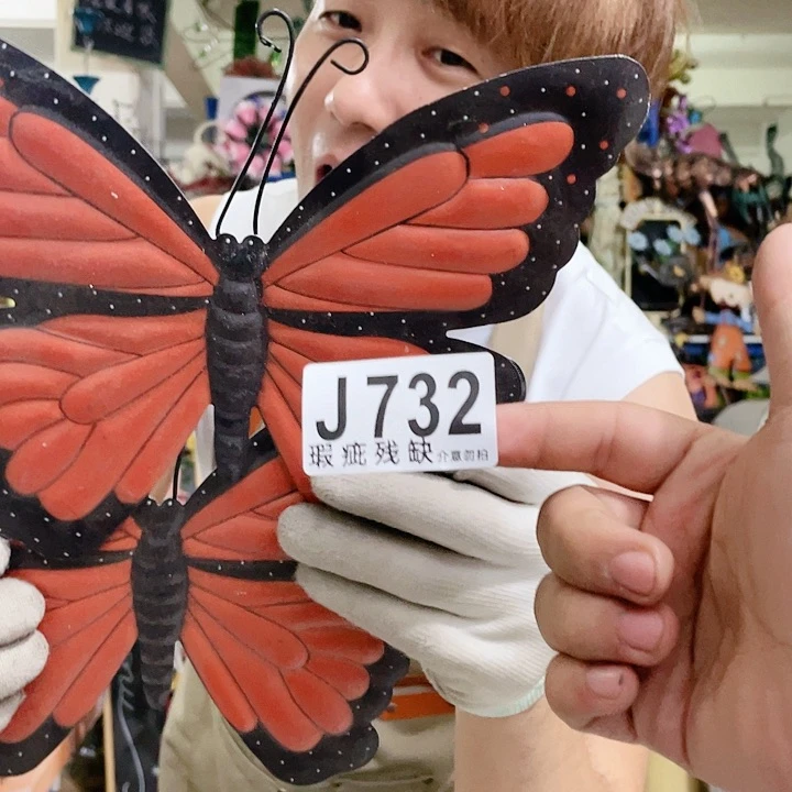 红陶20CM（含）-50CM（不含）