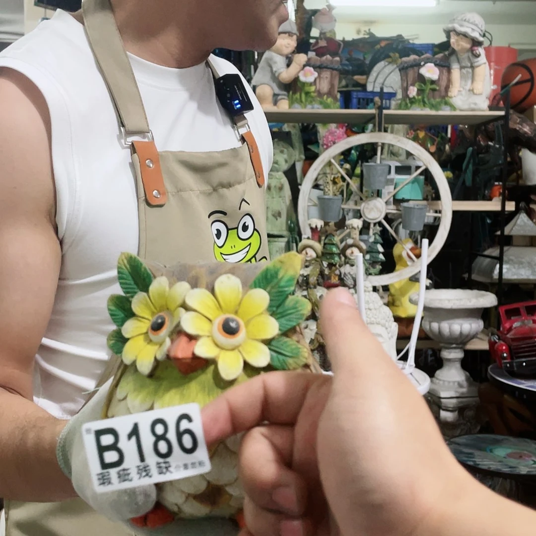 红陶20CM（含）-50CM（不含）