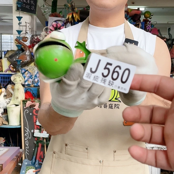 红陶20CM（含）-50CM（不含）