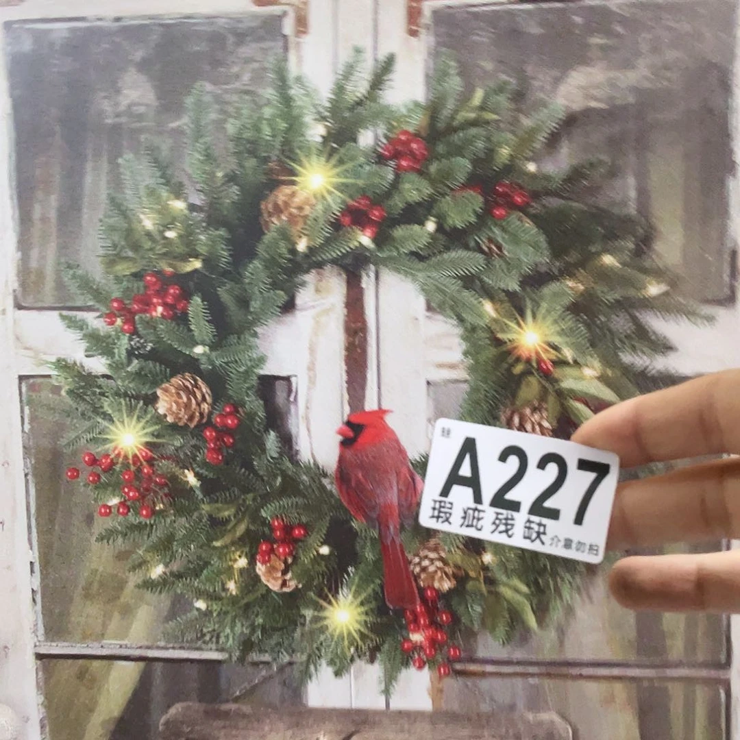 红陶蛙哥庭院中古