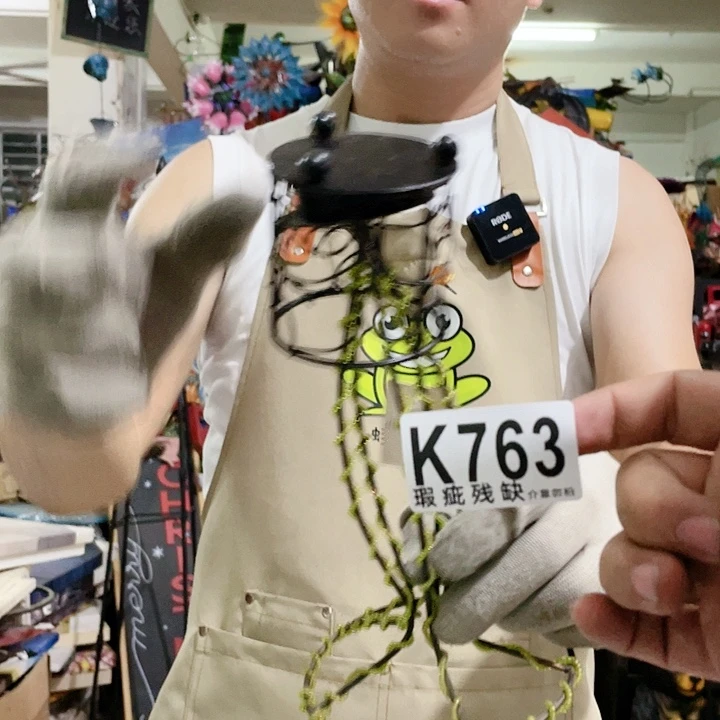 红陶20CM（含）-50CM（不含）