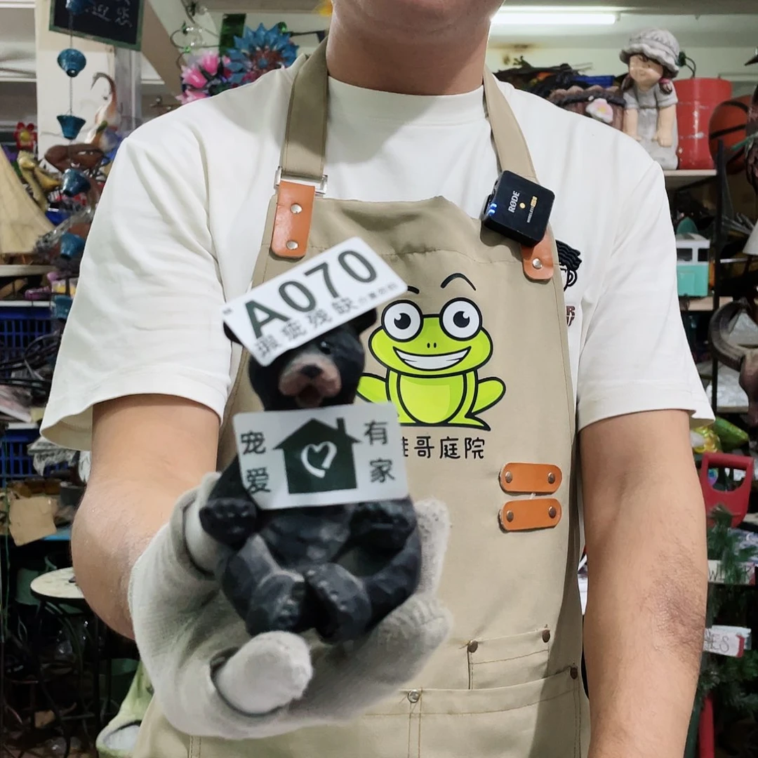 红陶20CM（含）-50CM（不含）