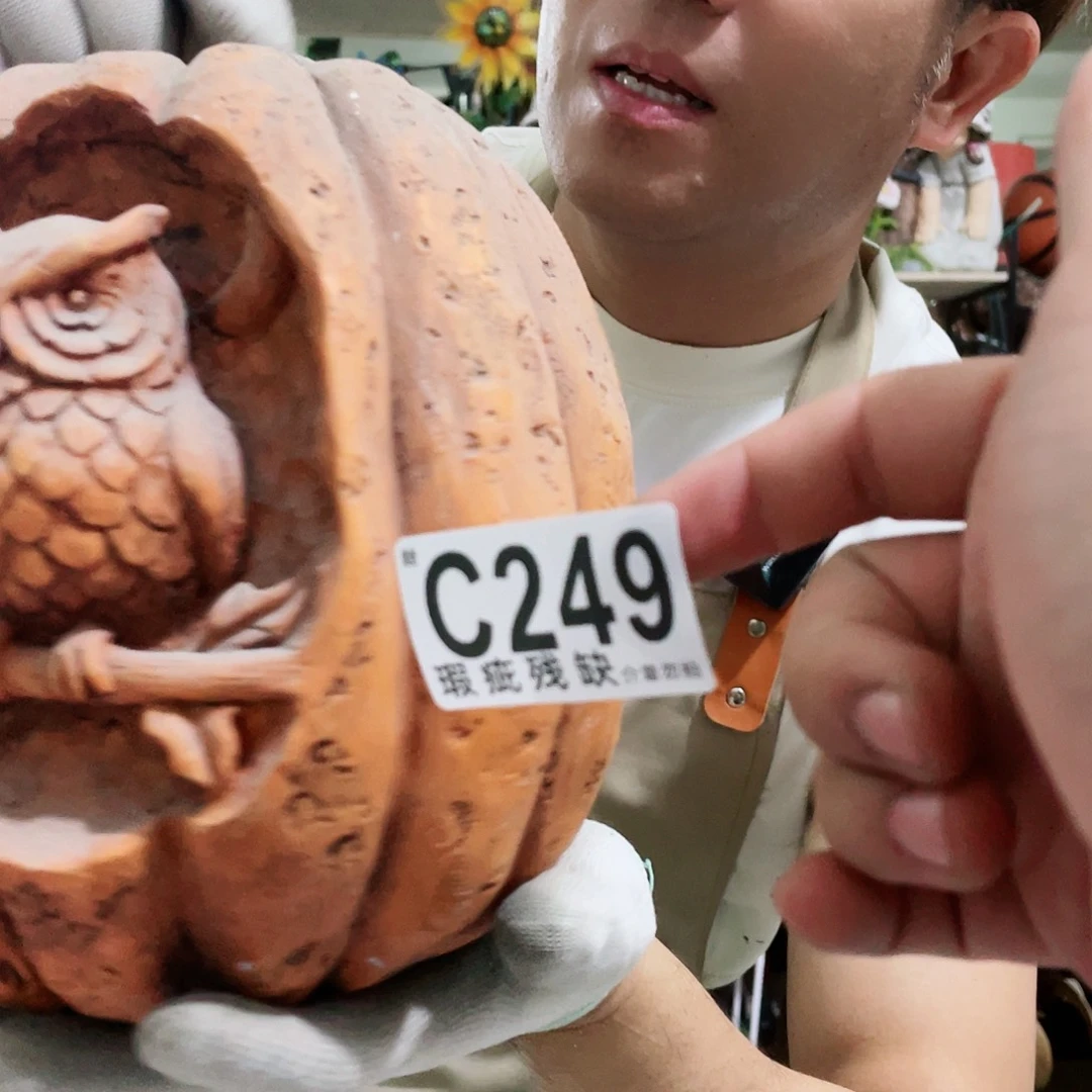 红陶20CM（含）-50CM（不含）