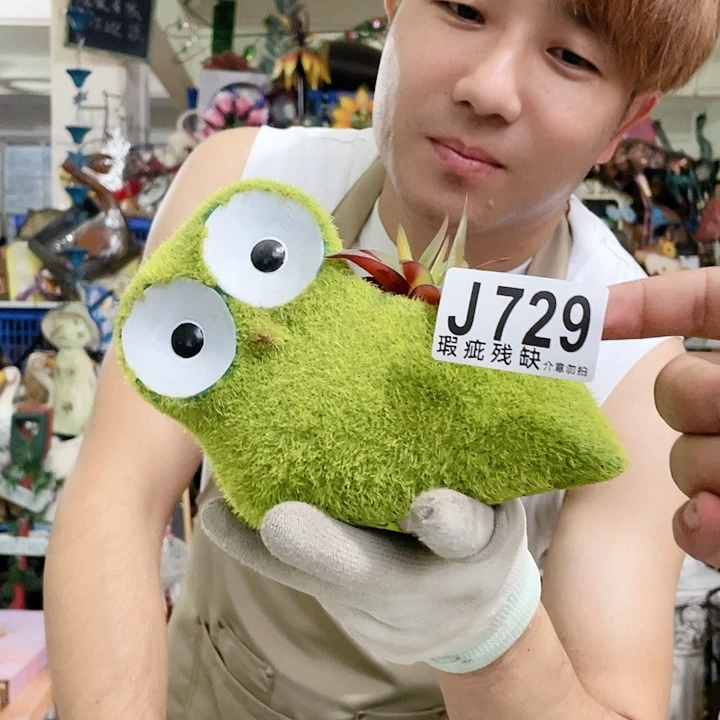 红陶20CM（含）-50CM（不含）